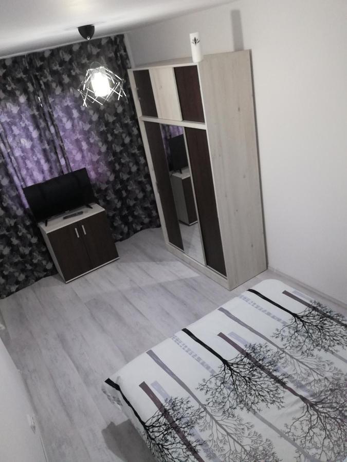 Apartament Apartament Brezoi Zewnętrze zdjęcie