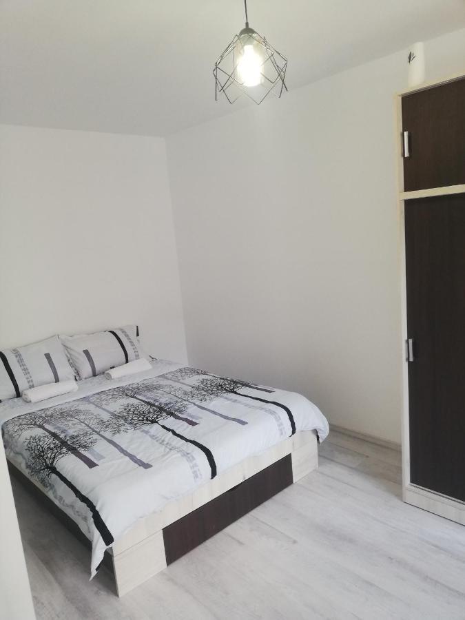 Apartament Apartament Brezoi Zewnętrze zdjęcie