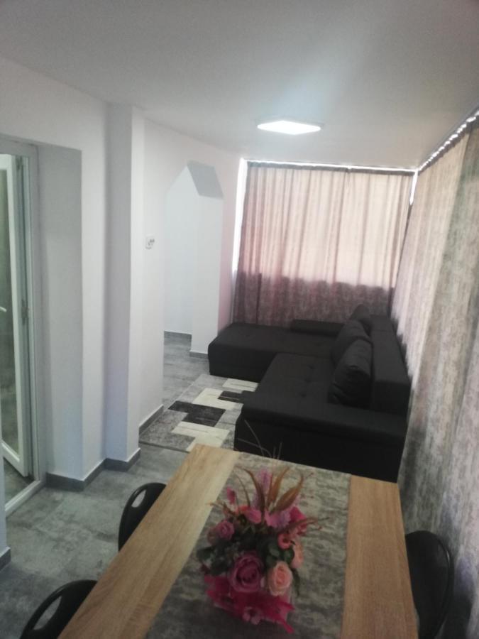 Apartament Apartament Brezoi Zewnętrze zdjęcie