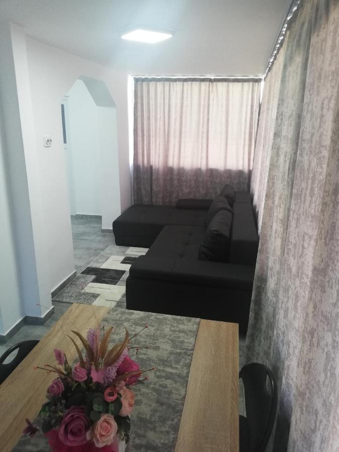 Apartament Apartament Brezoi Zewnętrze zdjęcie